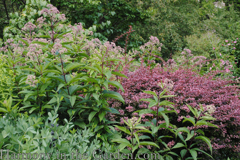 New York Conservatory Garden