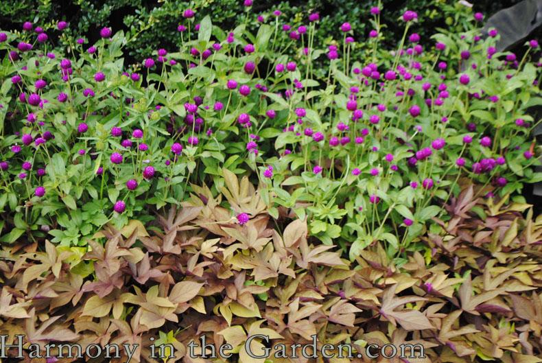 conservatory garden