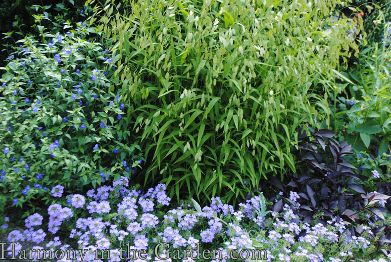 New York Conservatory Garden