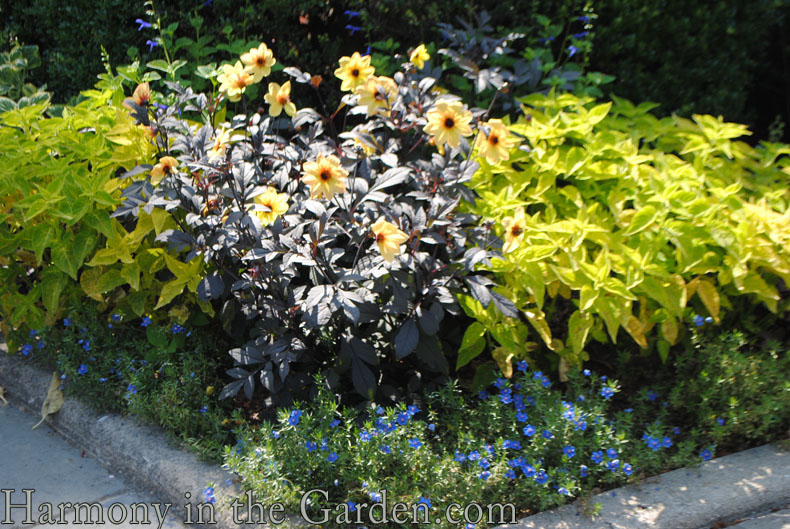 conservatory garden