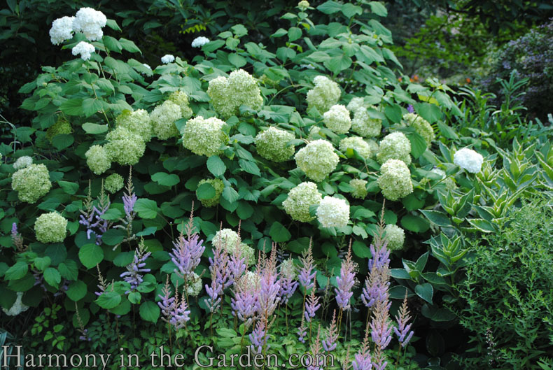 New York Conservatory Garden