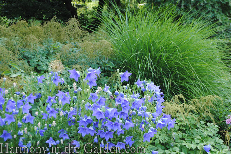 new york's conservatory garden