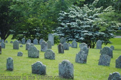 Hamptons South End Cemetery