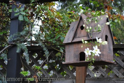 birdhouse