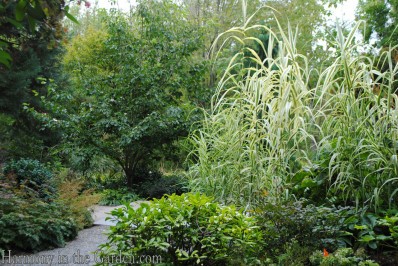 bellevue botanic garden