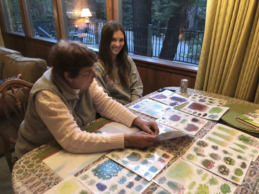 Design your Garden Toolkit a review, a story, and a giveaway