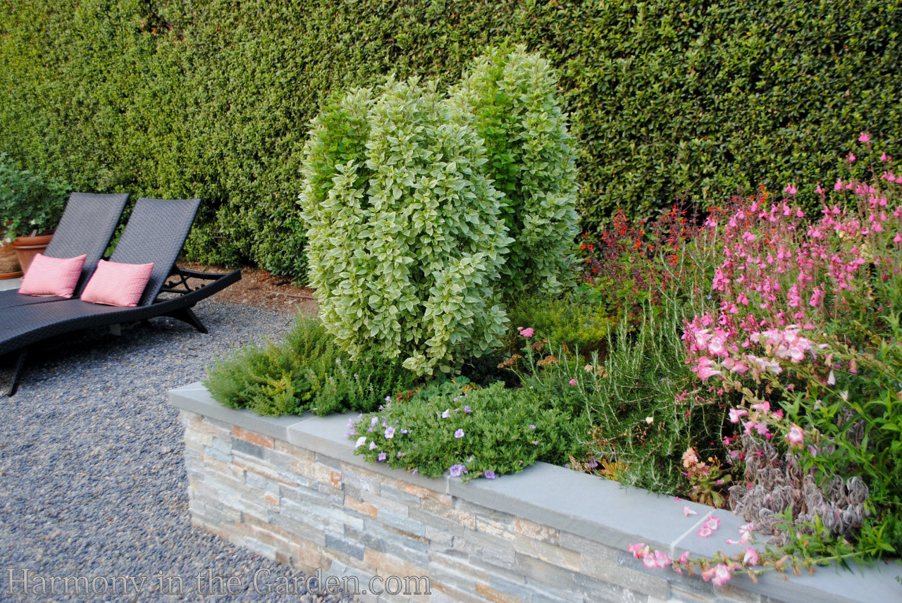 turning a pool into a garden