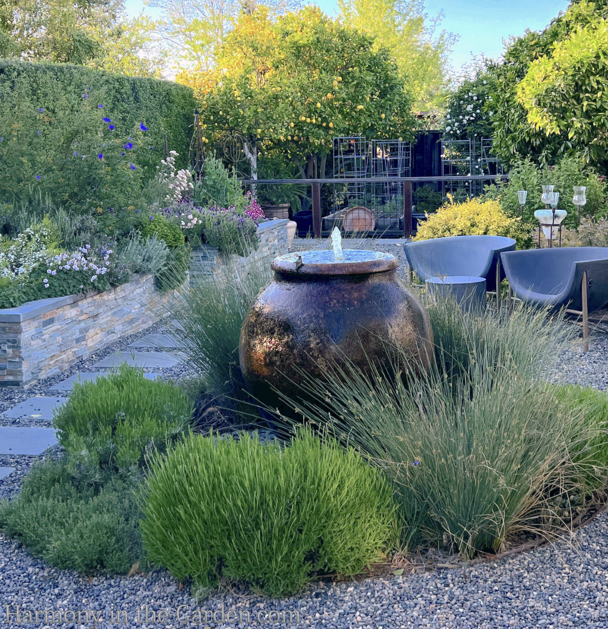 turning a pool into a garden