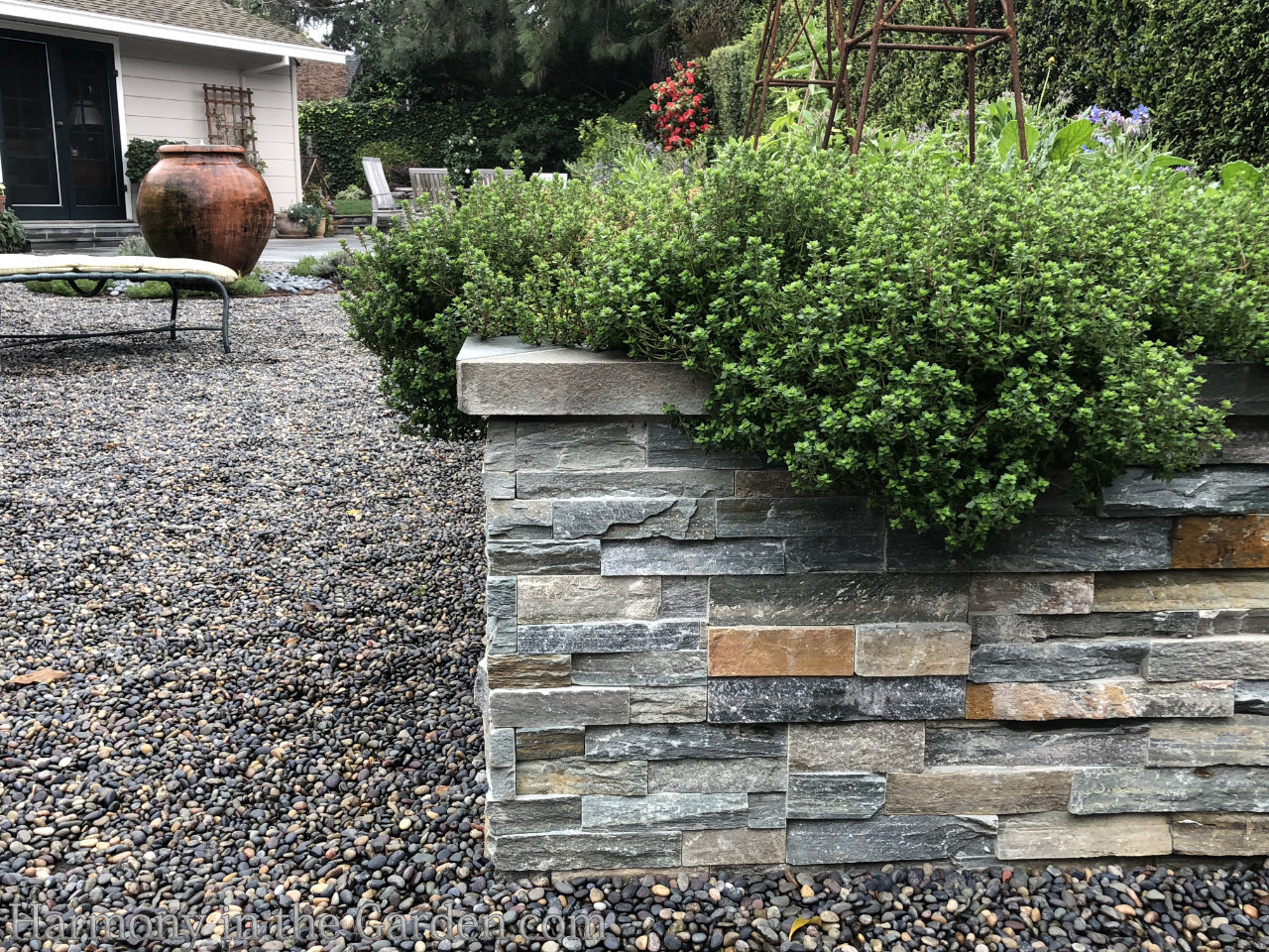 turning a pool into a garden