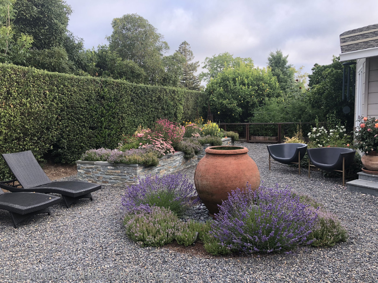 turning a pool into a garden