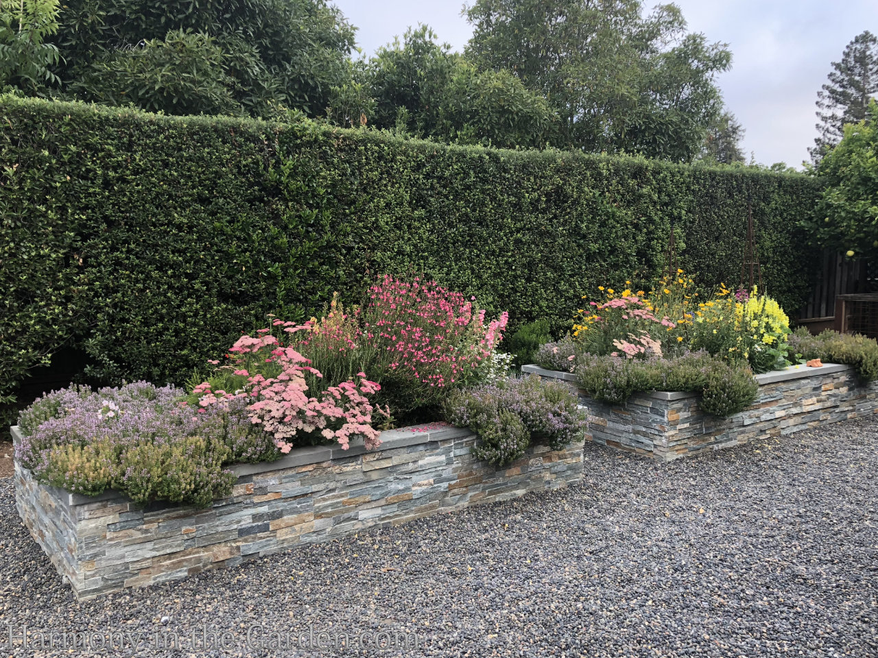 turning a pool into a garden