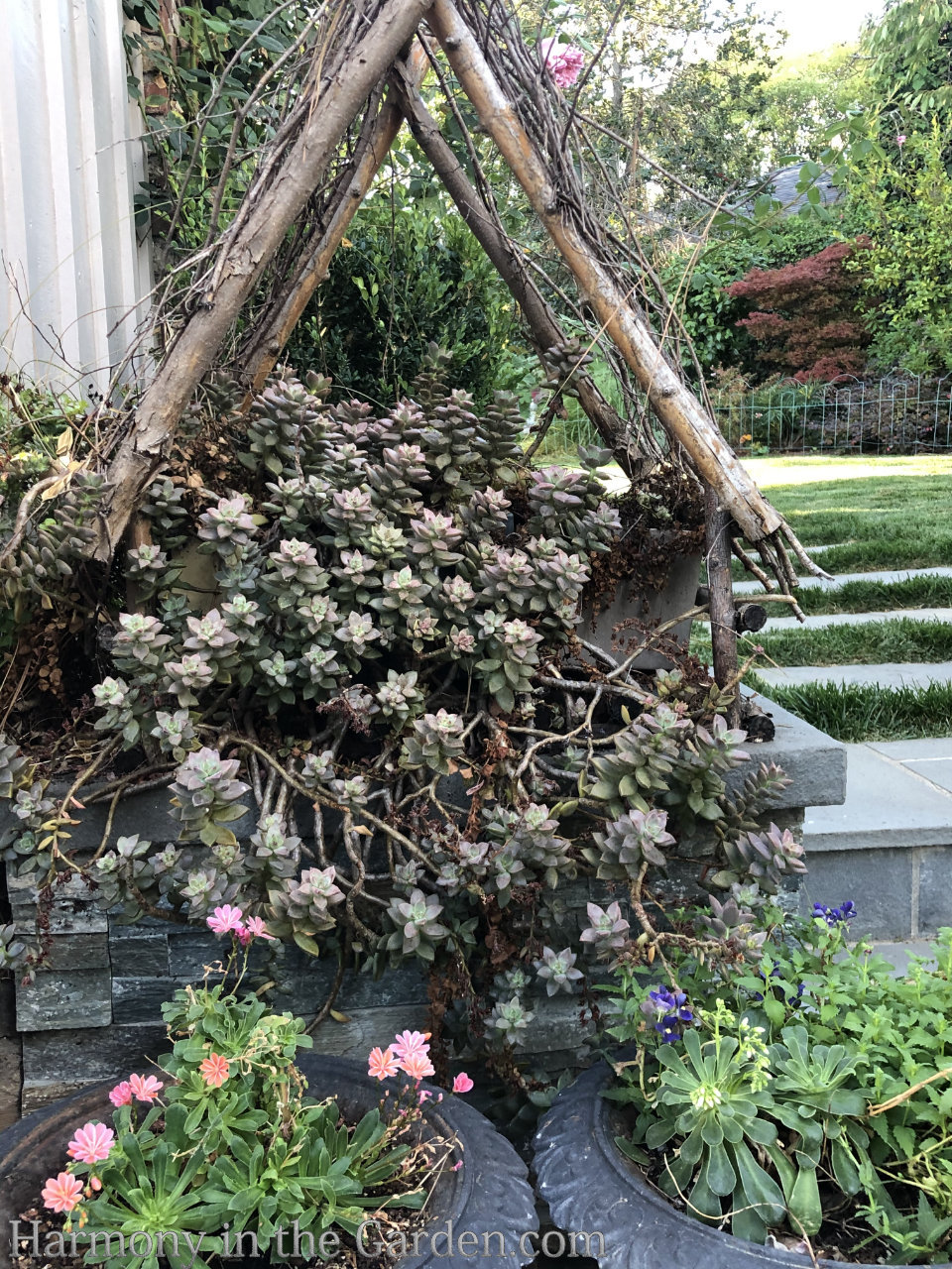 turning a pool into a garden