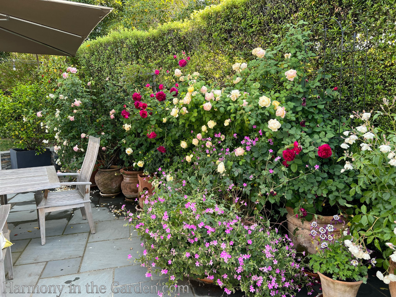 turning a pool into a garden