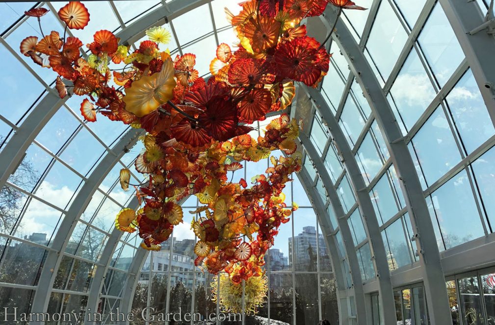 chihuly glass-chihuly museum-seattle-garden glass art