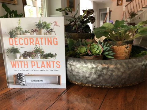 Decorating with Plants - book review and giveaway - Harmony in the Garden