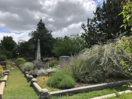 sacramento historic rose garden-perennials-native garden-northern california-pioneer cemetery