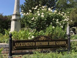 sacramento historic rose garden-perennials-native garden-northern california-pioneer history