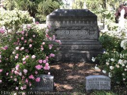 sacramento historic rose garden-california native garden-northern california-pioneer cemetery