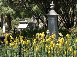 sacramento historic rose garden-california native garden-northern california-pioneer cemetery-iris