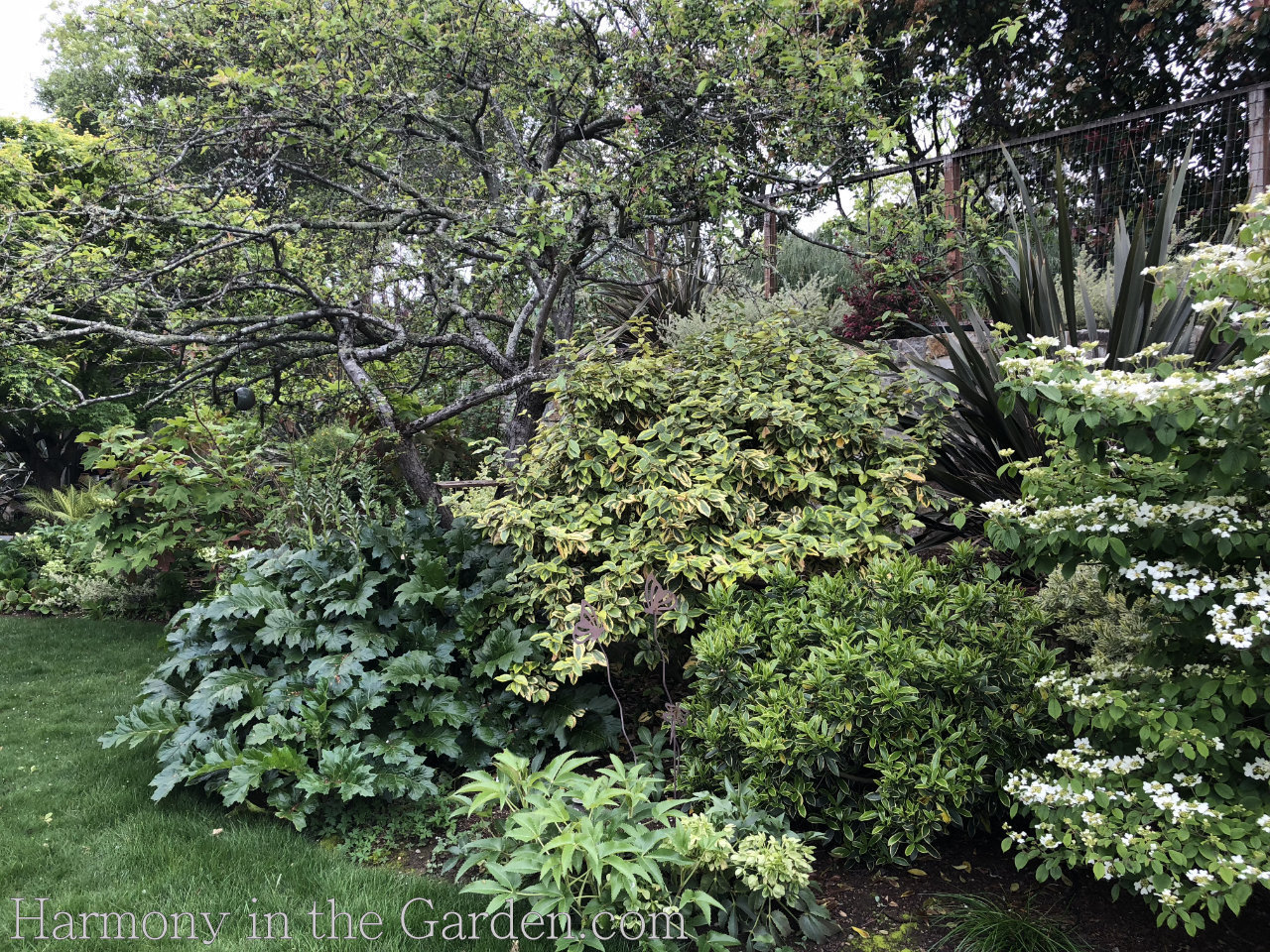 gardening on steep slopes