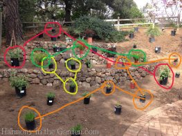 Tiers-Slopes-Northern California Gardens-Triangles