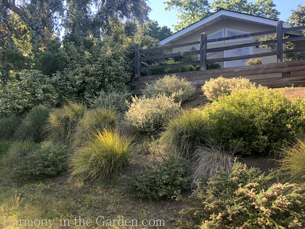 gardening on steep slopes