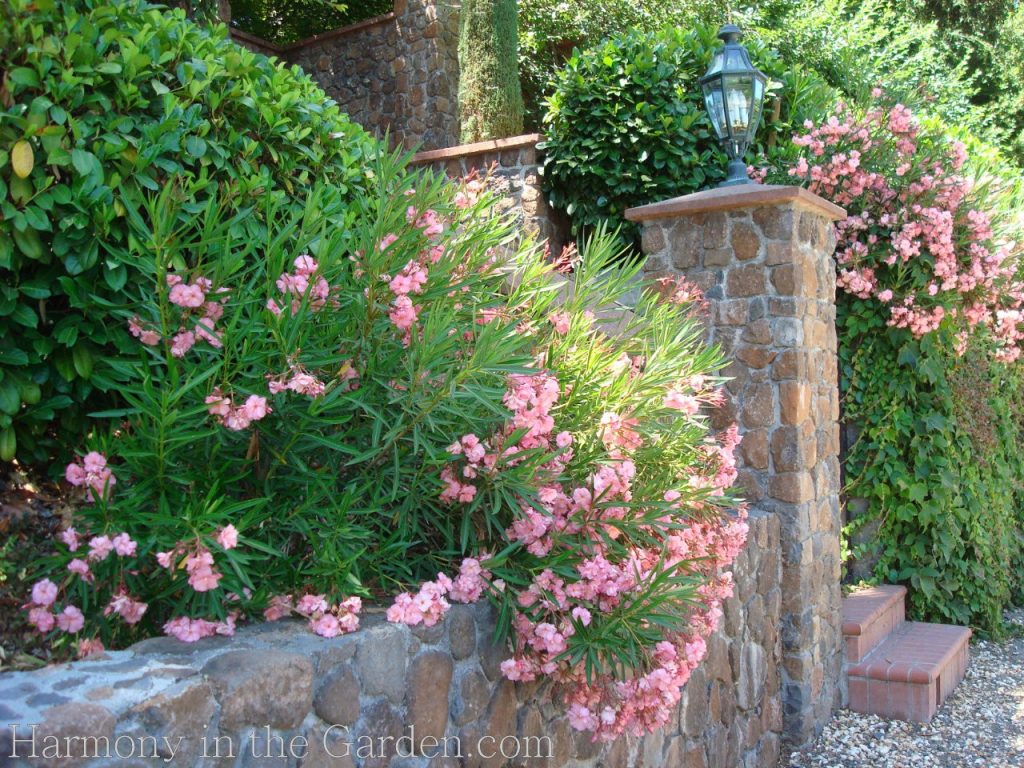 garden tiers and slopes