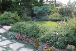Tiers-Slopes-Northern California Gardens-draping-westringea-succulents