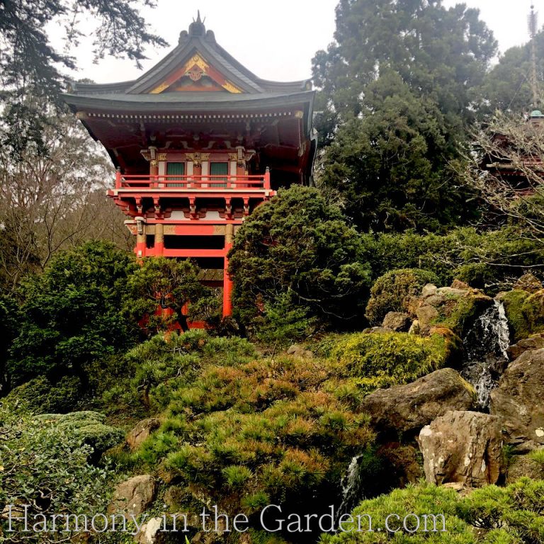 japanese tea garden winter