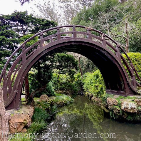 Why you should visit the Japanese Tea Garden in the dead of winter