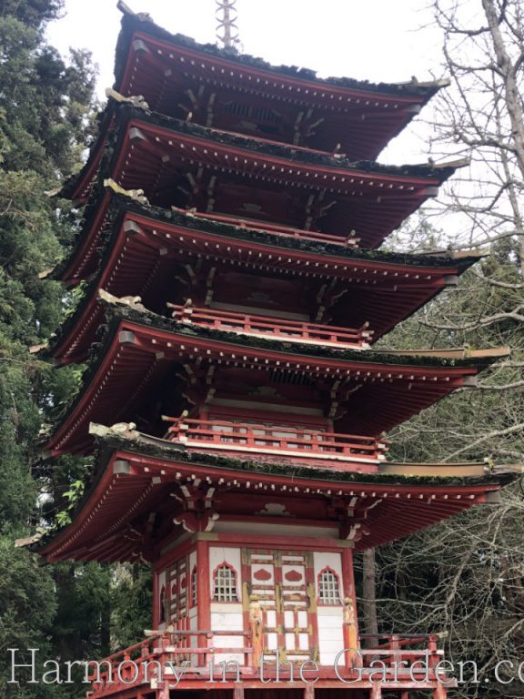 japanese tea garden