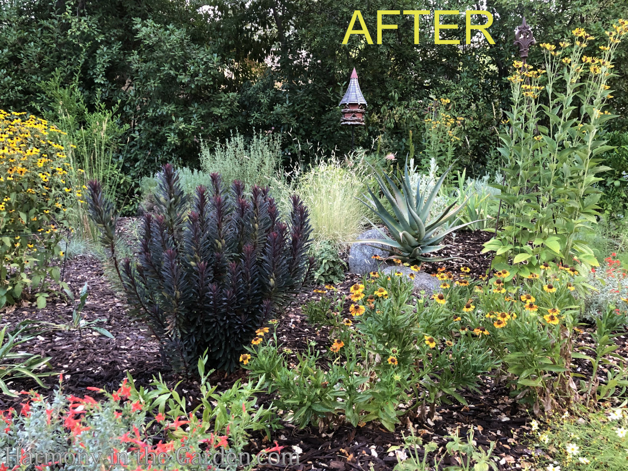 Creating a rain garden