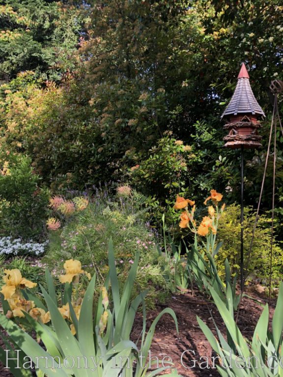 spring blooming plants