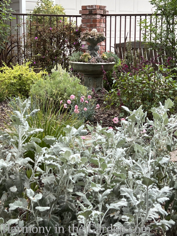 gardening under oaks