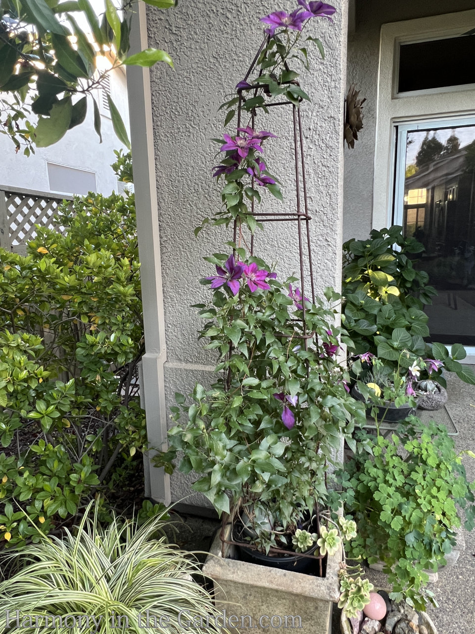 containers on patio