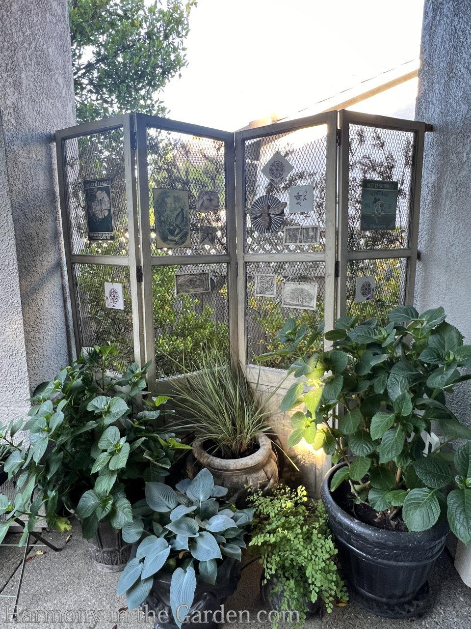 containers on patio