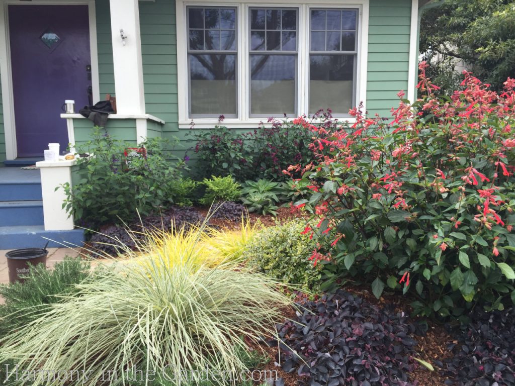 Gardening under oaks