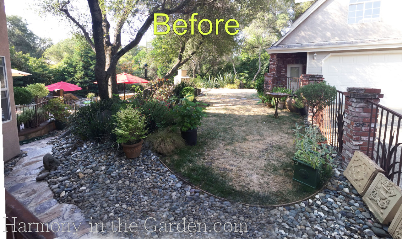 gardening under oaks