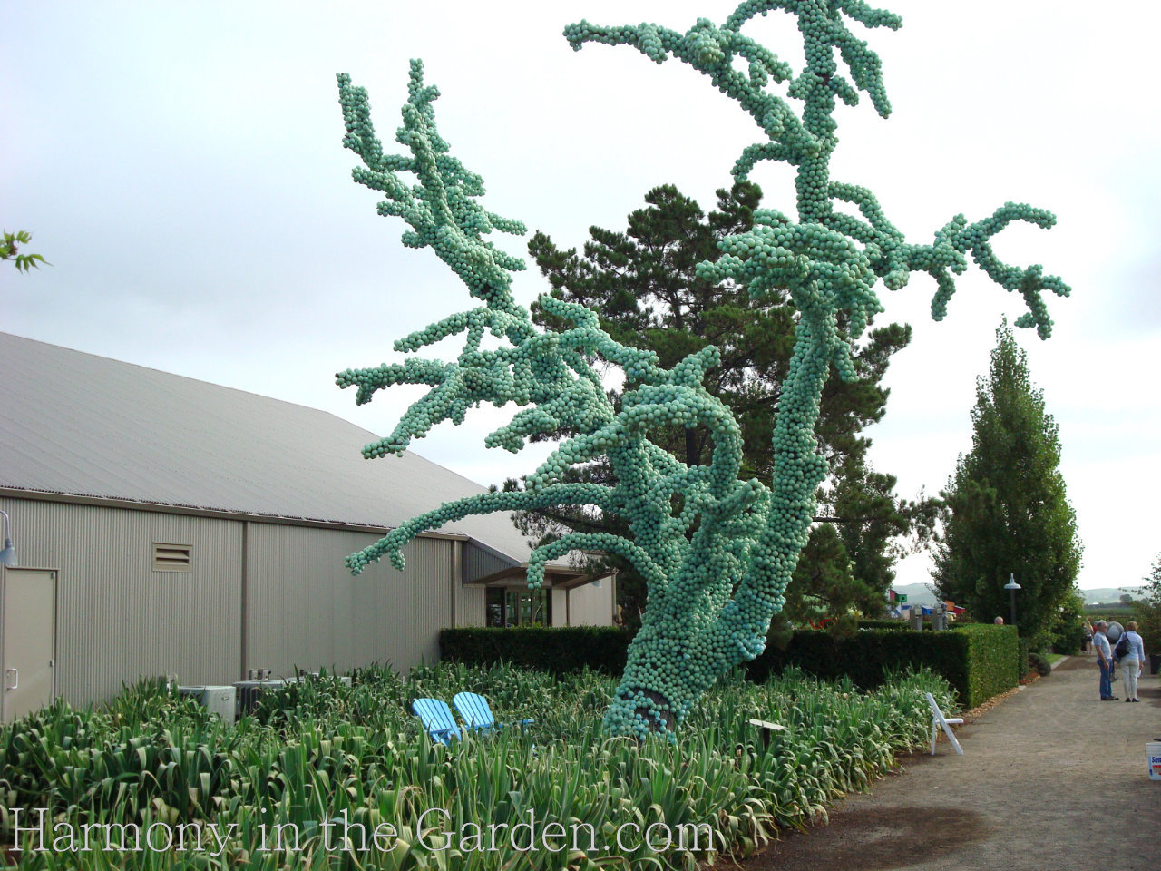 garden inspiration with dead trees and branches