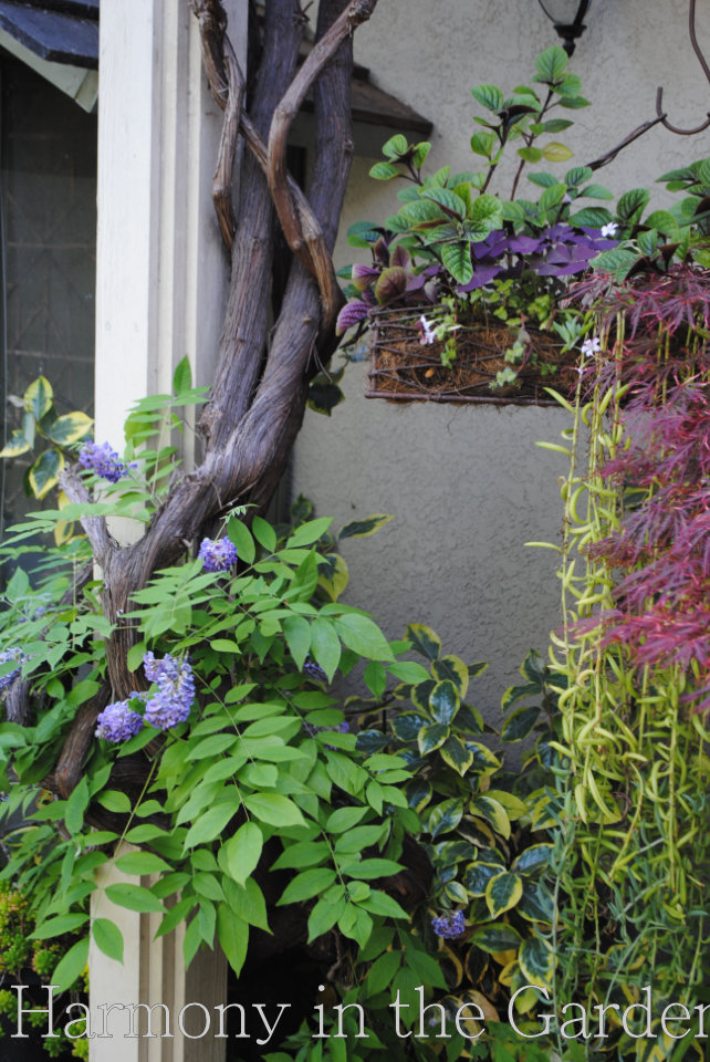 garden inspiration with dead trees and branches