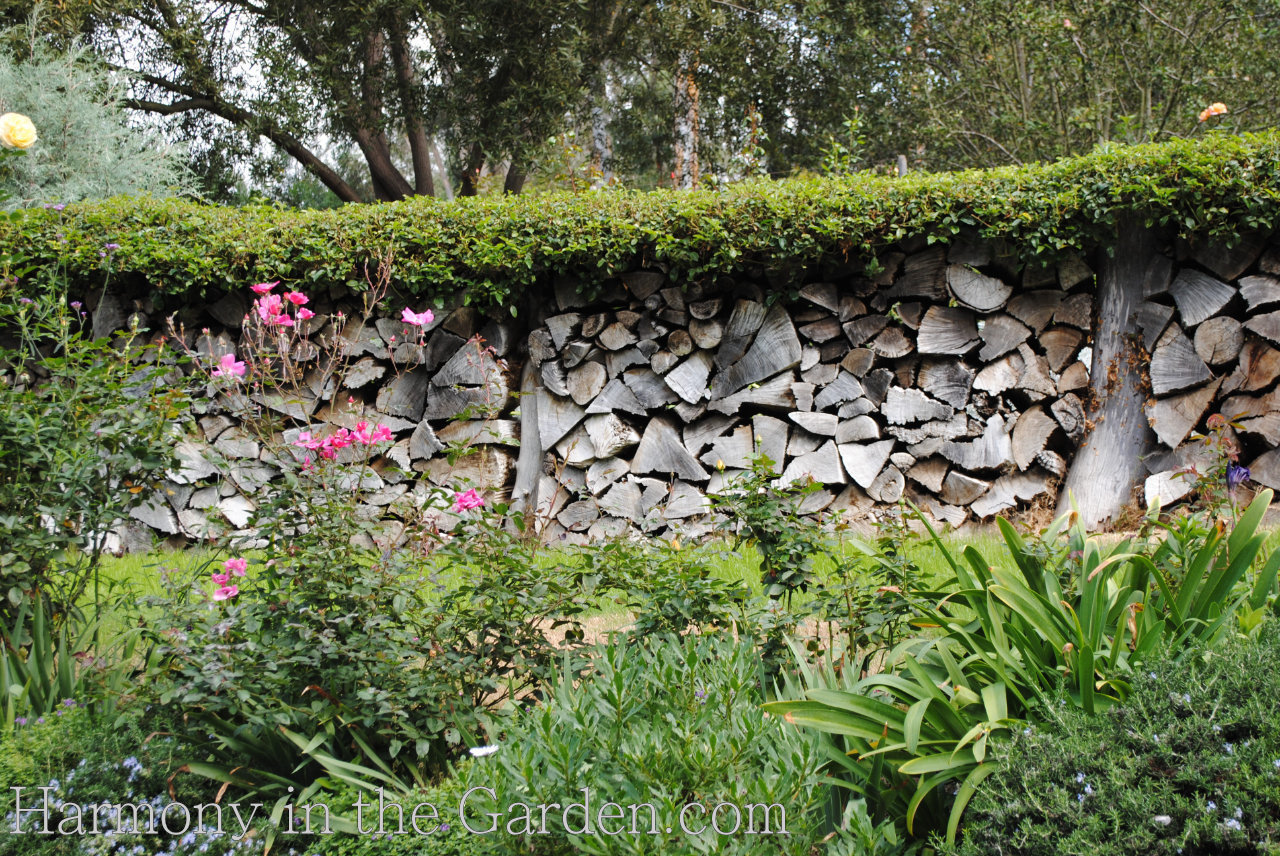 garden inspiration with dead trees and branches