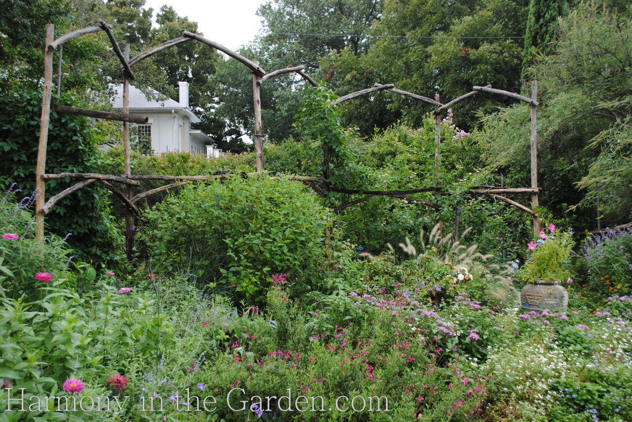 garden inspiration with dead trees and branches