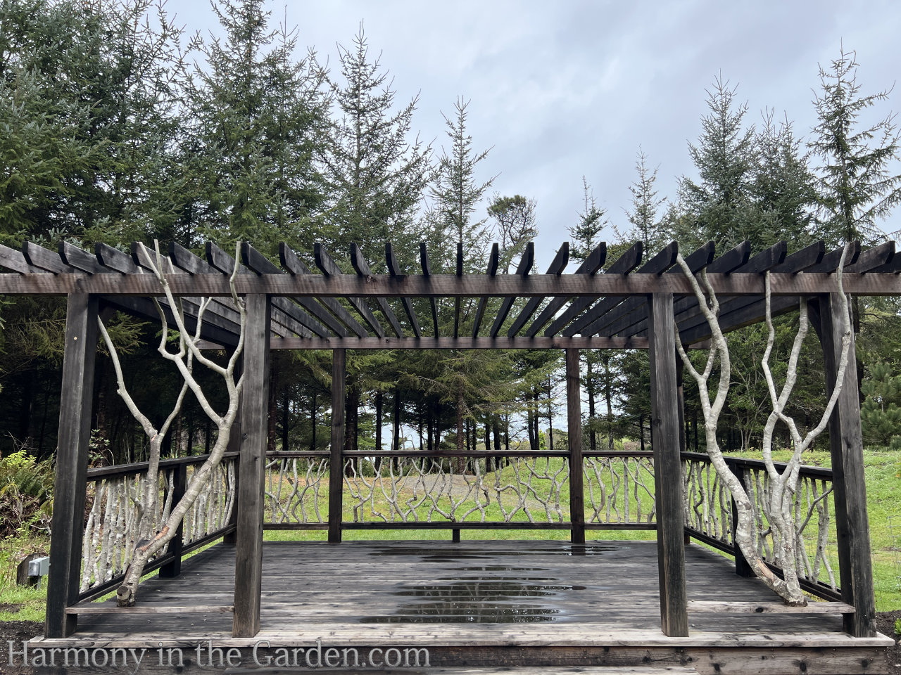 decorating with tree branches