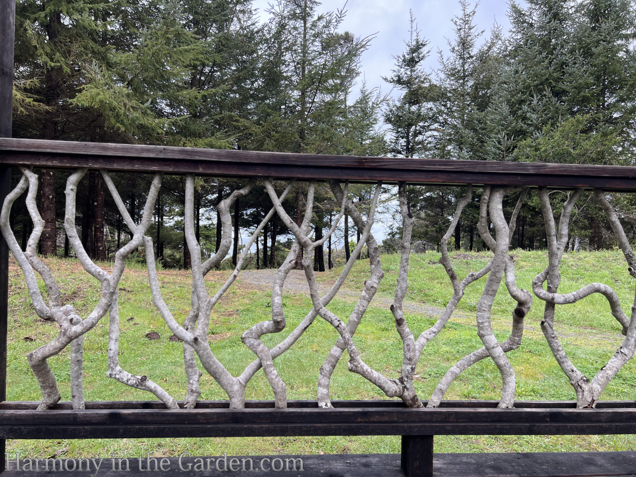 decorating with branches