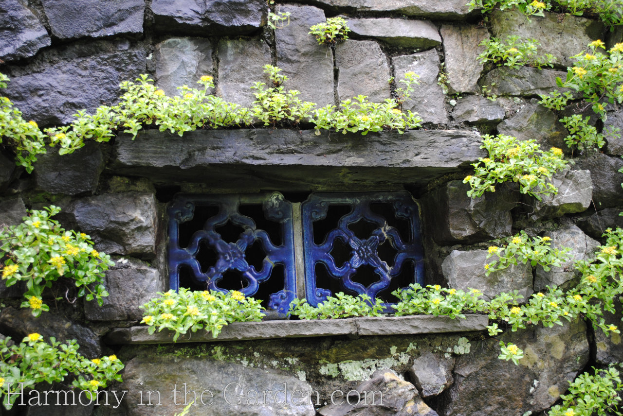 Silver thyme - FineGardening