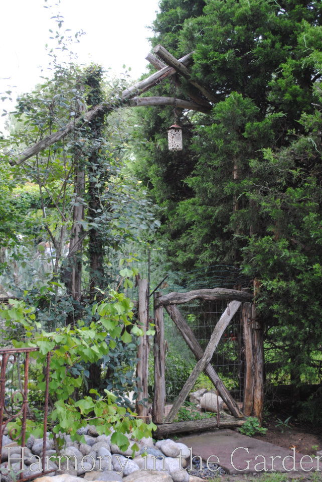 garden inspiration with dead trees and branches