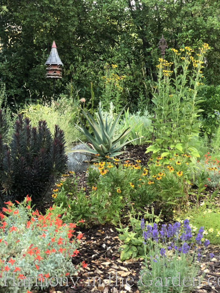 heat loving deer resistant perennials