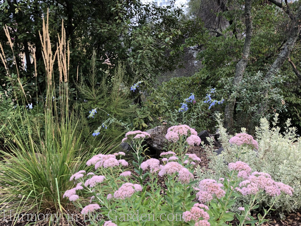 designing pollinator garden