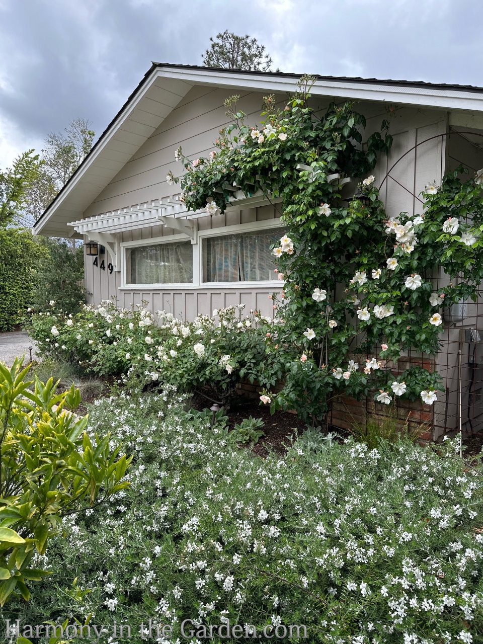 sloping garden