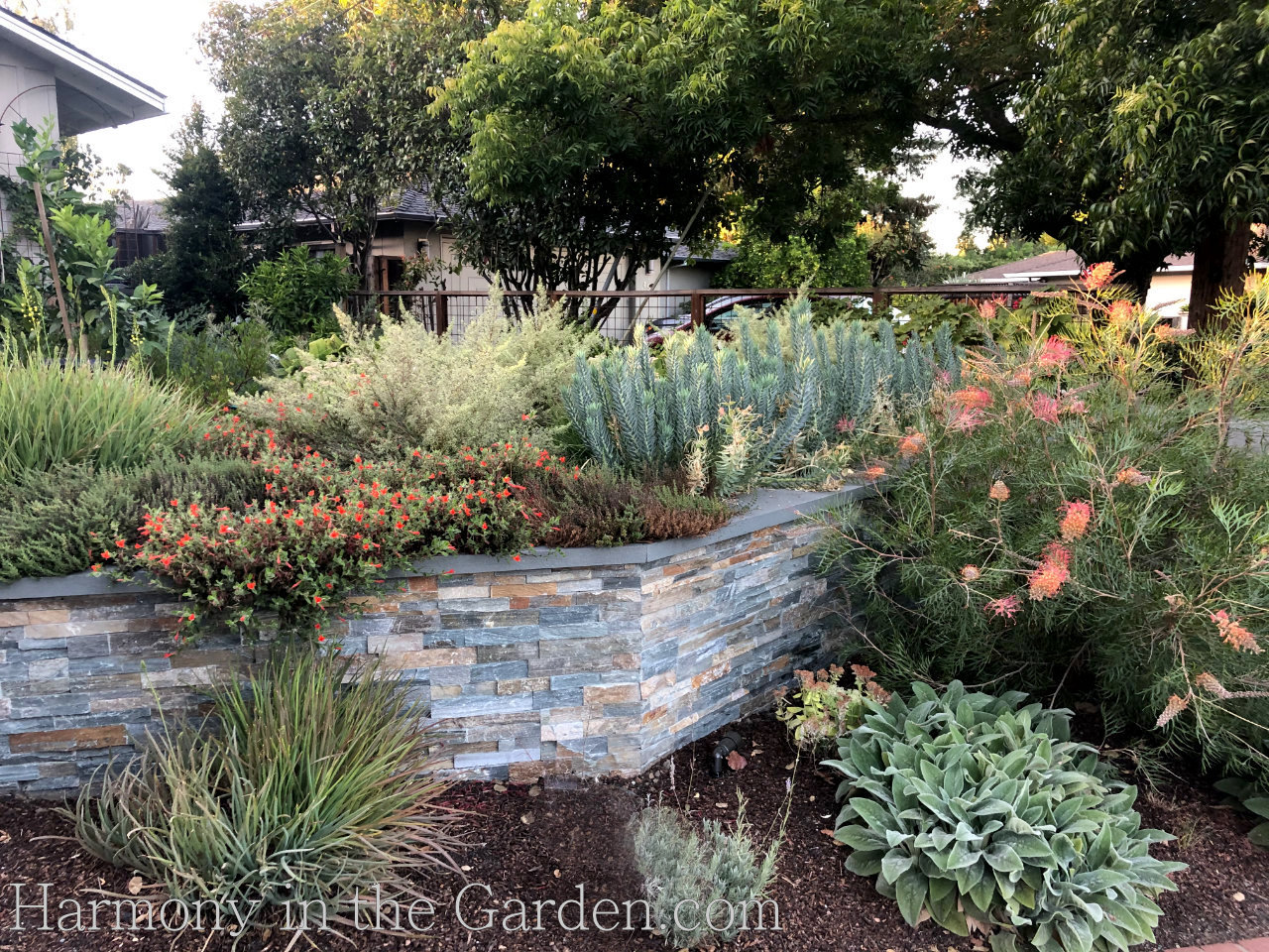 sloping front garden